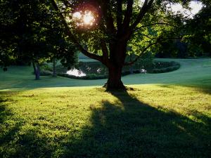 a beautiful eatate yard serviced by our Sprinkler Repair team