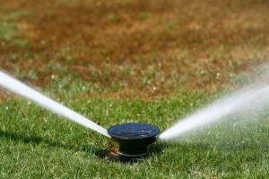 a rotary head handles a large area of grass