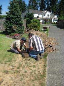 two sprinkler repair tech dig out a bad pop up head