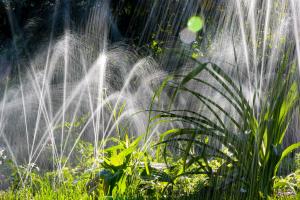 an older spray head style sprinkler system at work